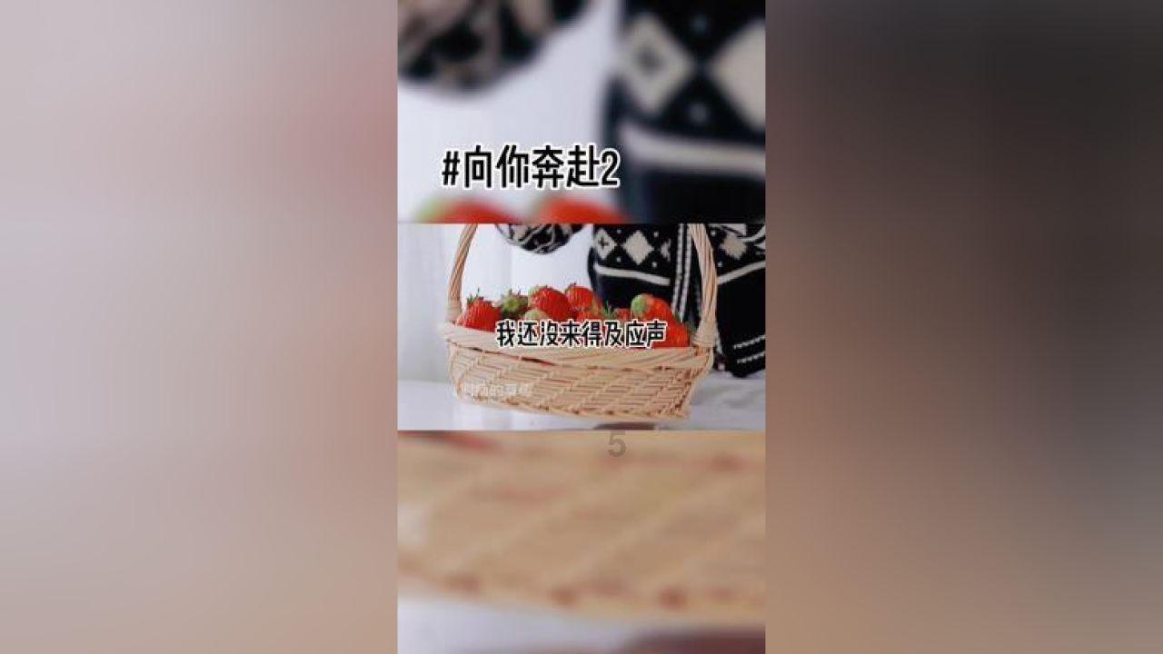 泰坦黎明