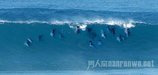 自由勇士历险记3