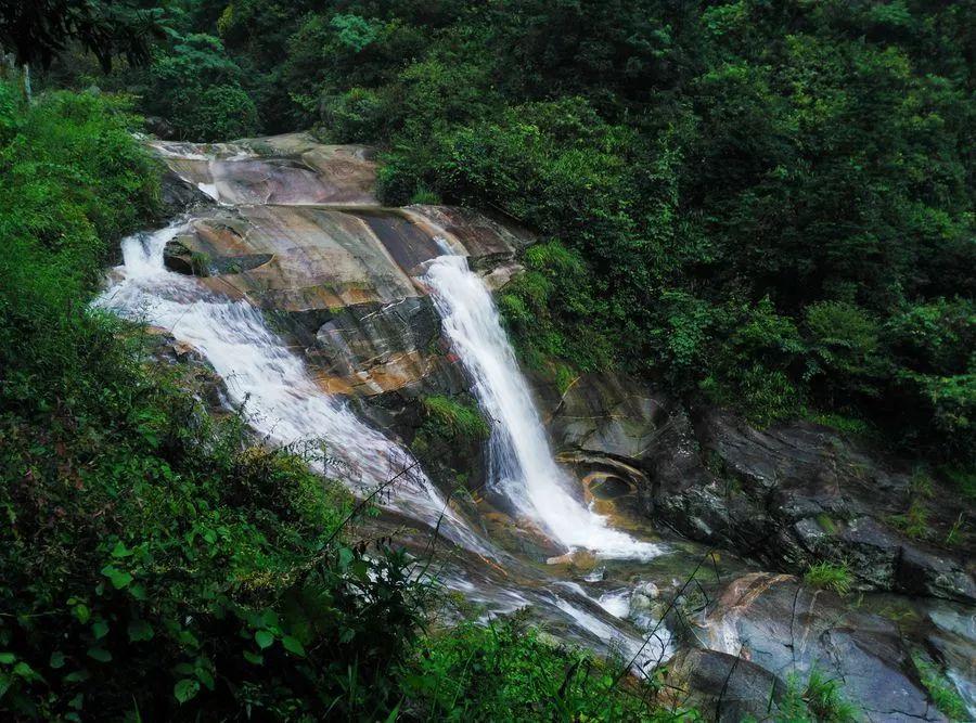 200L自动码垛灌装机 柴油灌装机